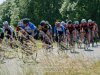 IMG-018618