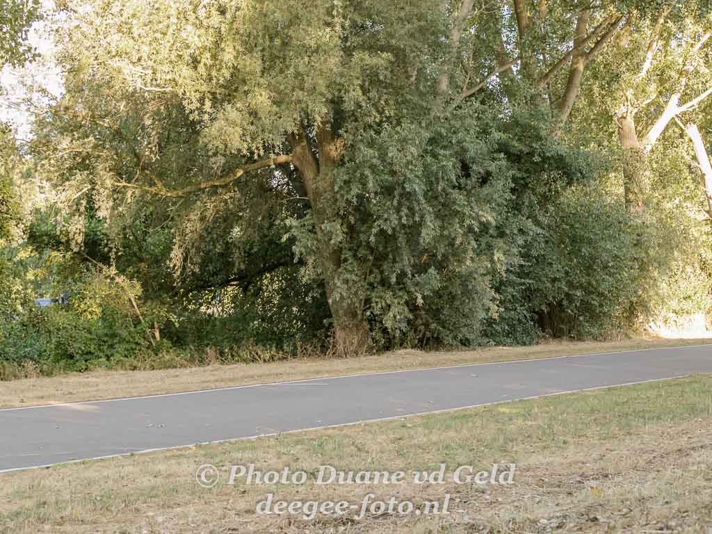 IMG-026628