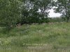 IMG-004242