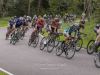 IMG-038907